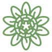 passiflora